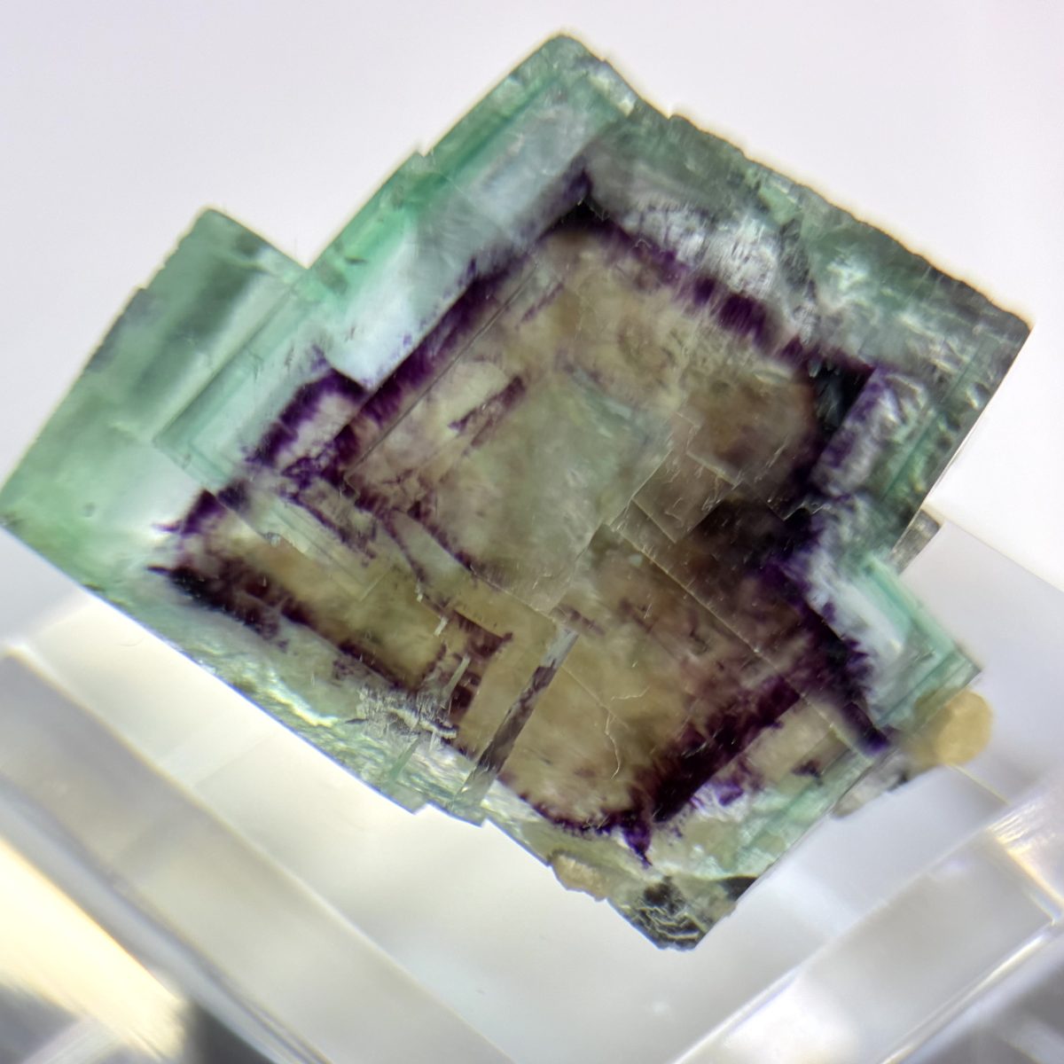 内モンゴル Yindu Mine 産フローライト